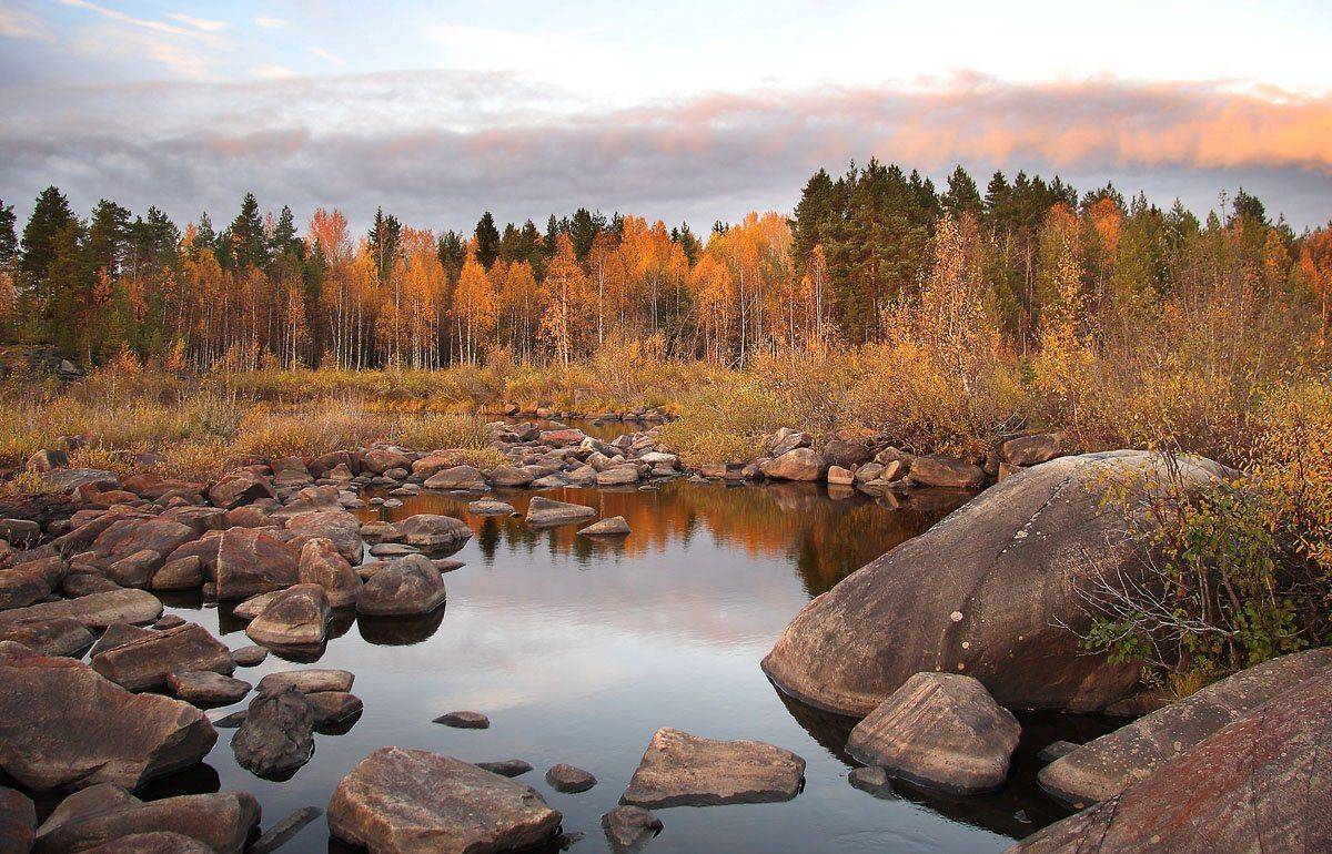 , Александр Коротков
