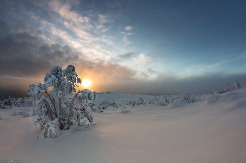 В закатном тумане.