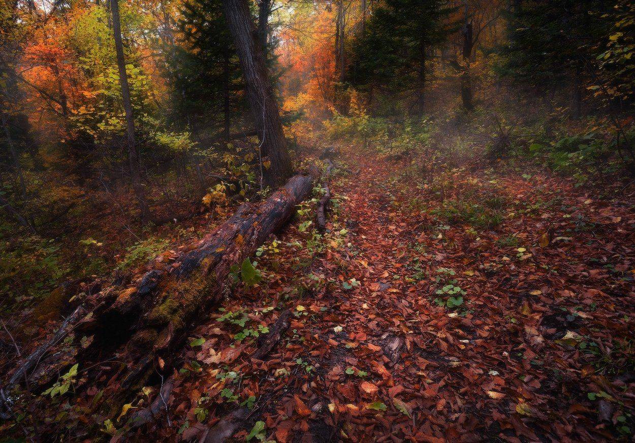 , Андрей Кровлин