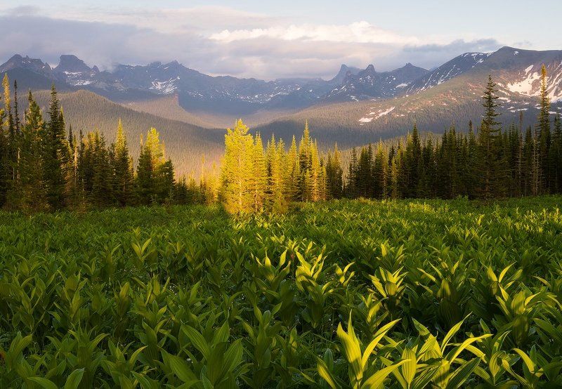 ...С последними лучами... фото превью