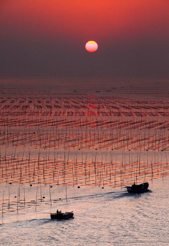 sunrise фото превью