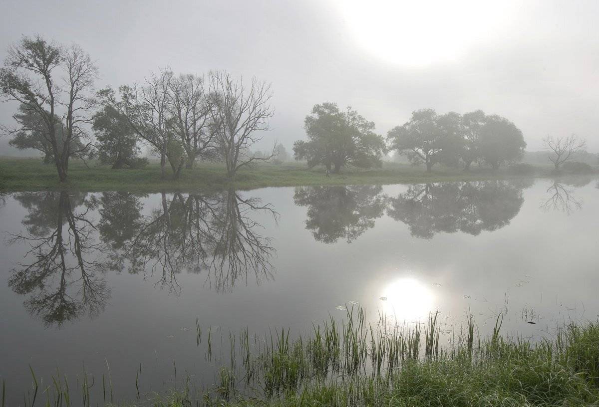 , Валерий Кондратов