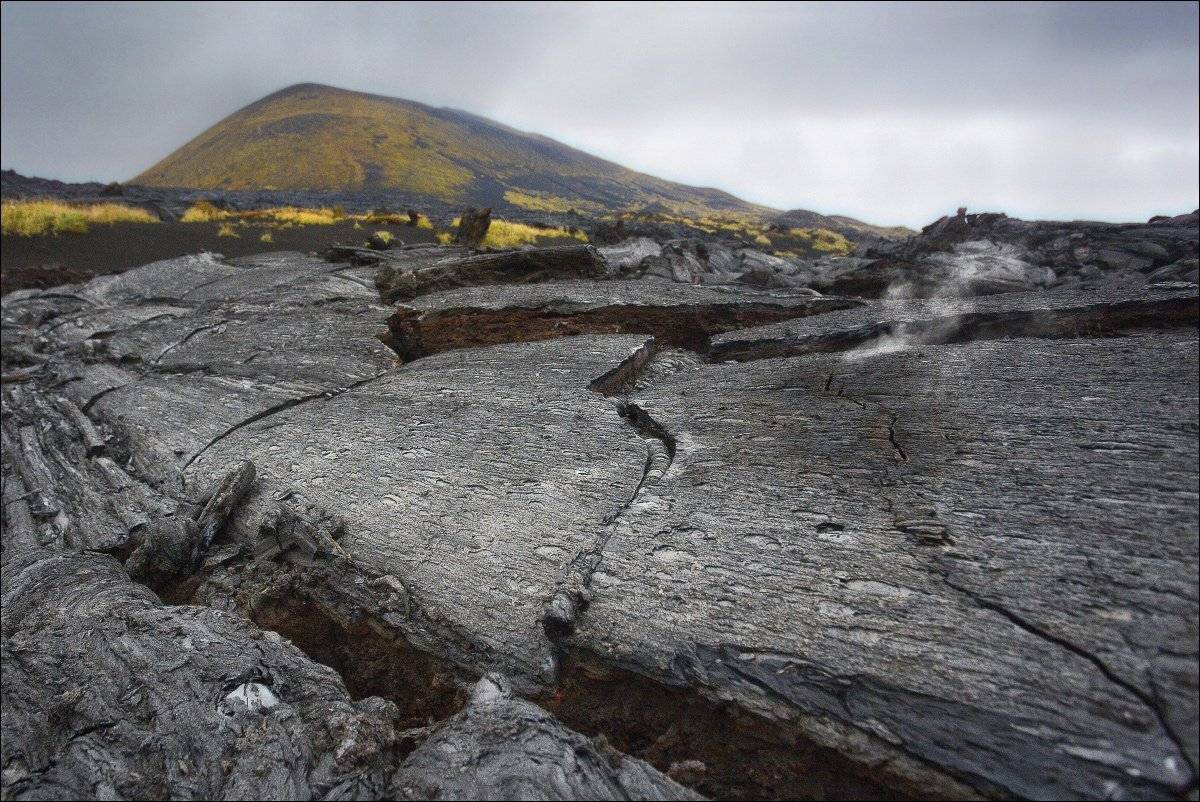 , Вадим Никифоров