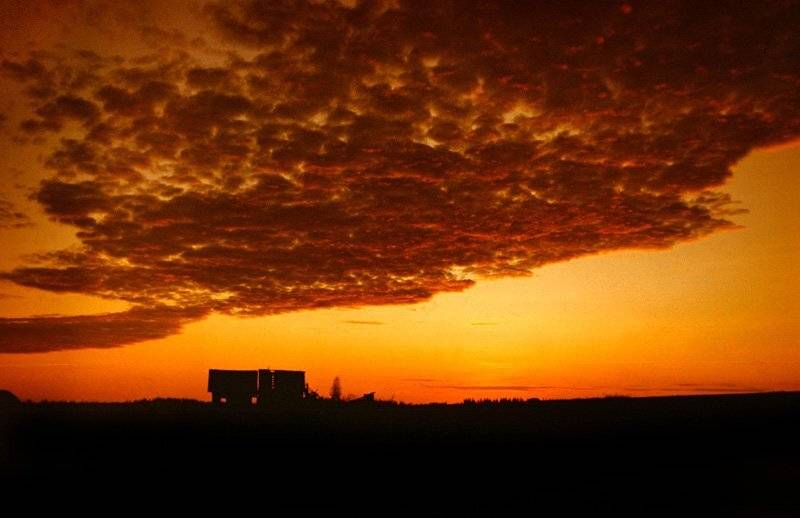 , Павел Мартюшев