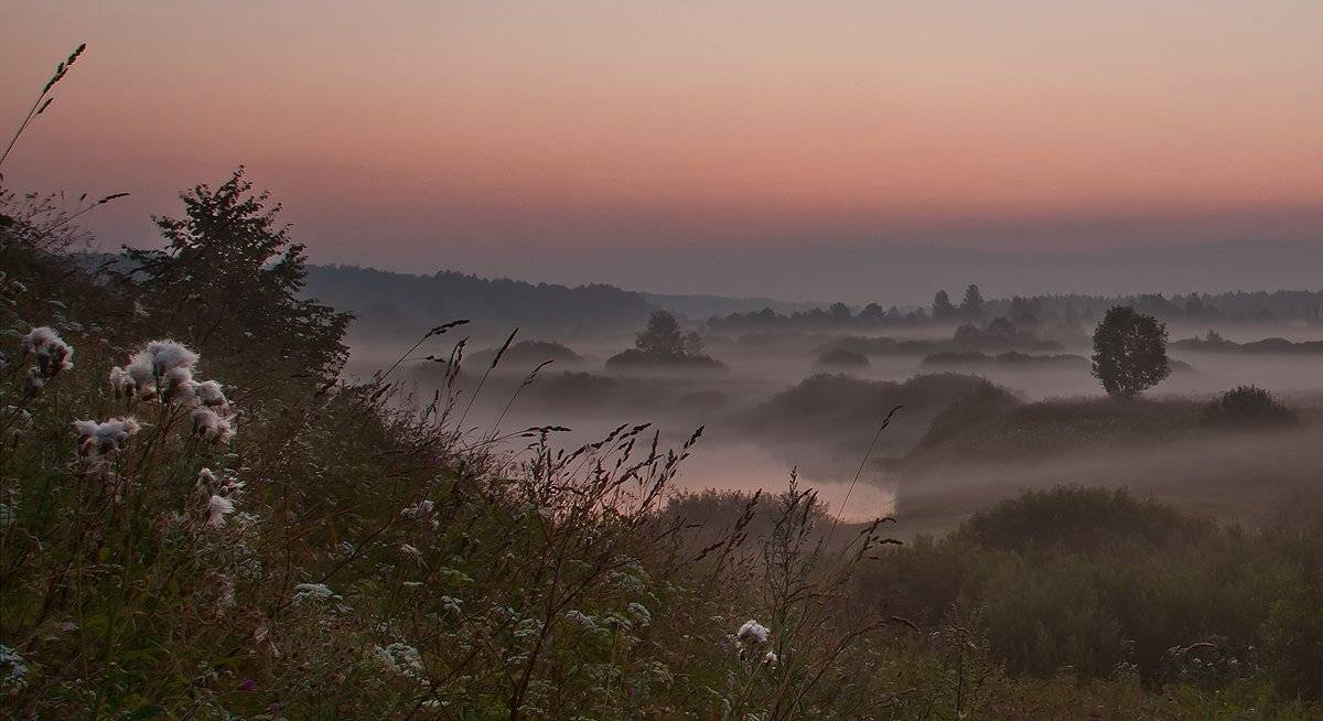 тригорское, Андрей Леонидович