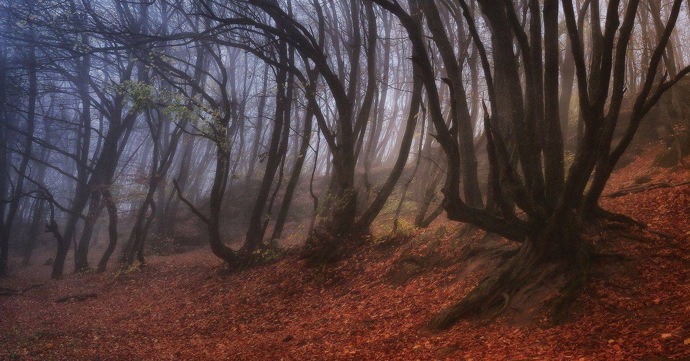 , Михаил  Пилипенко