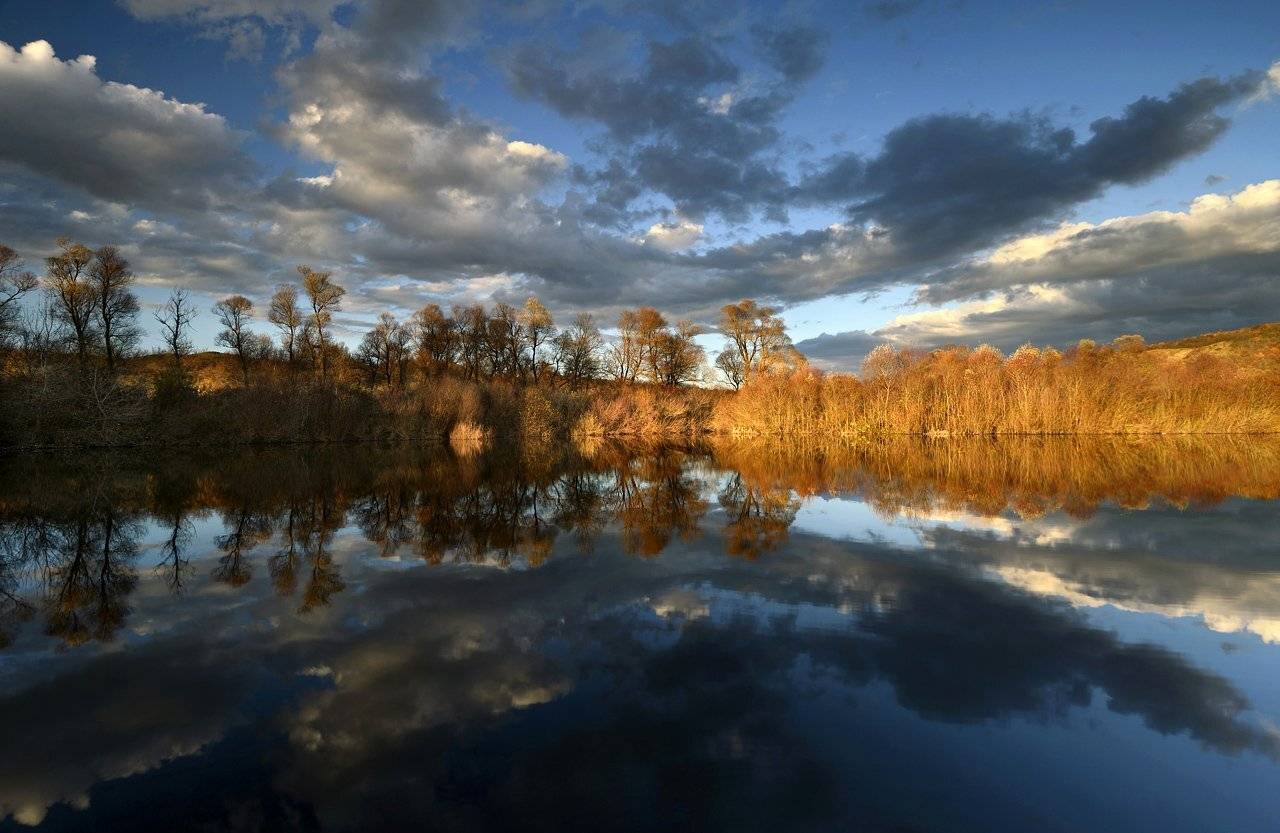 , Румен Паисиев