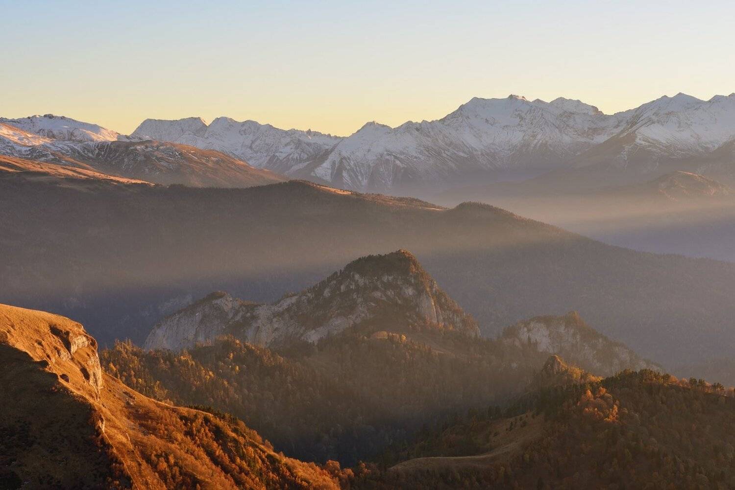 , Максим Евдокимов