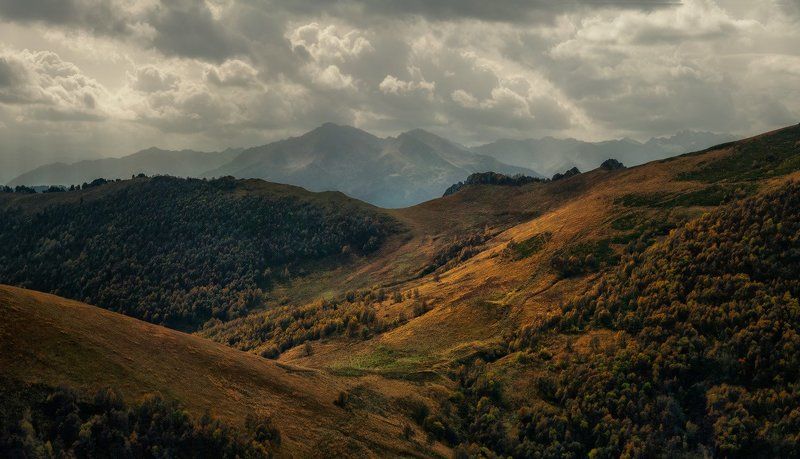 Осенний бархат фото превью