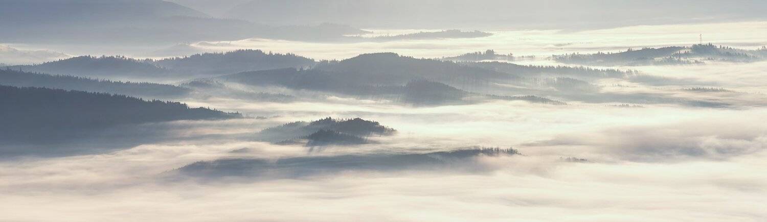 , Александр Подрез