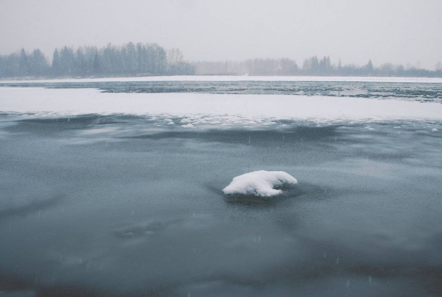 , Николай Морский