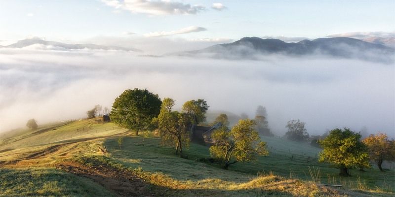 карпаты, пейзаж, природа, туман, черная тиса, рассвет, утро Рассвет на седьмом небе фото превью