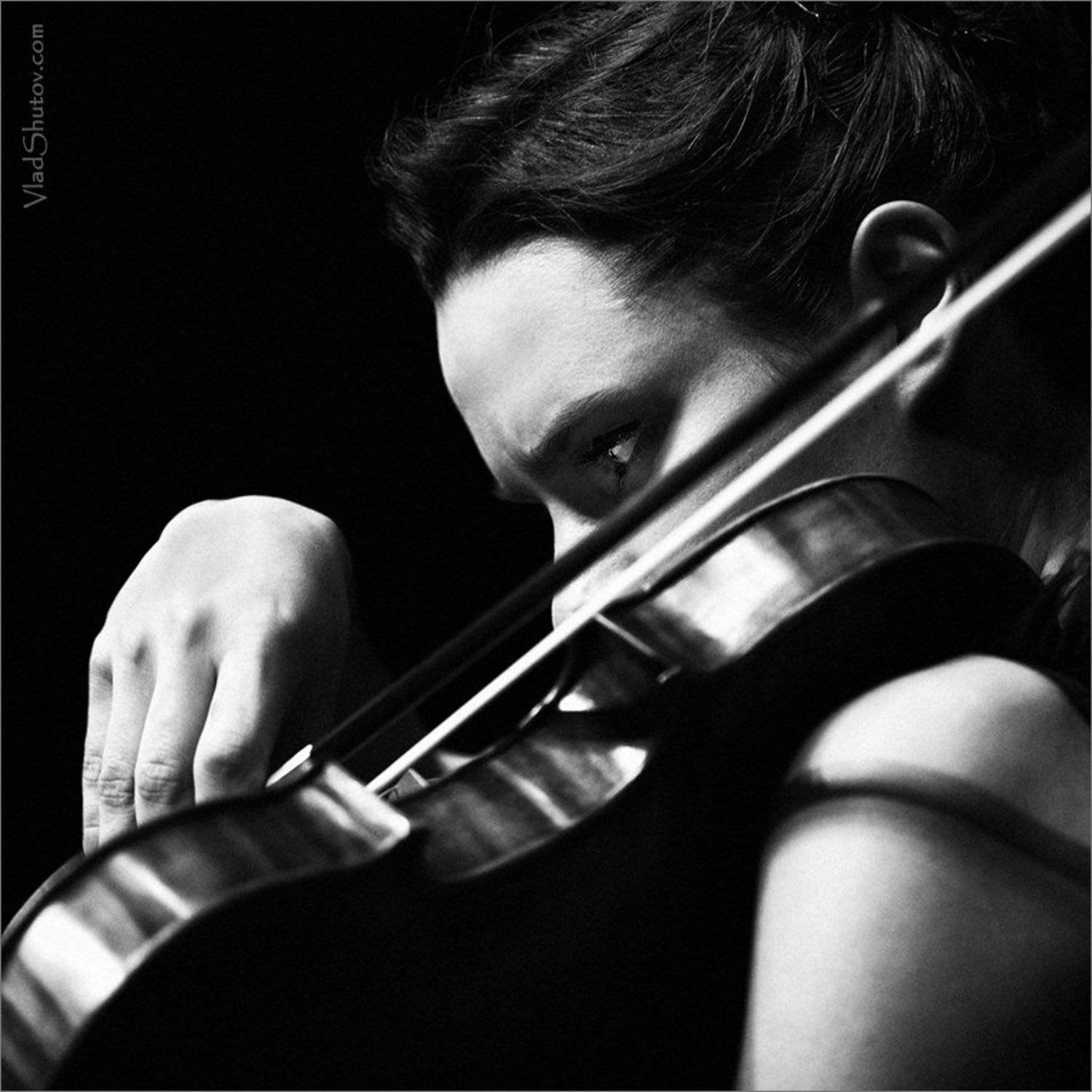 , Влад Шутов