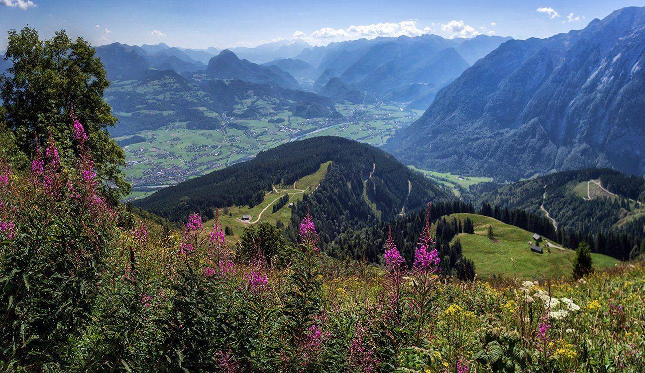 , Игорь Мелекесцев