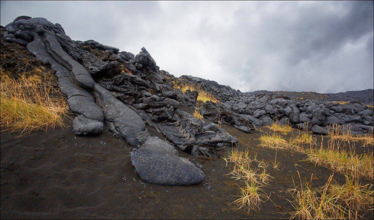 , Вадим Никифоров