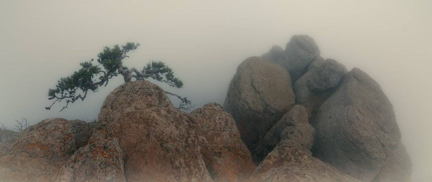 крым, демерджи, Сорокин Олег