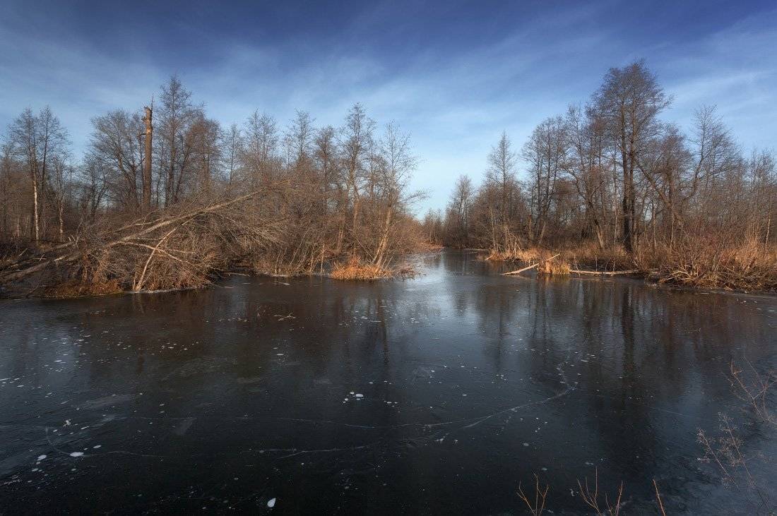 речка, лед, деревья, лес, облака, отражения, ноябрь, Георгий Машковцев