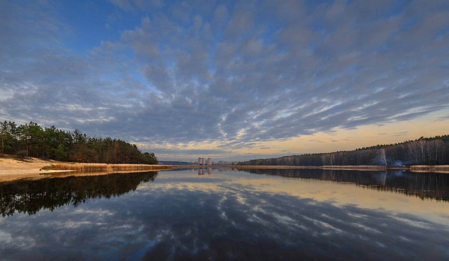 , Роман Джаджа