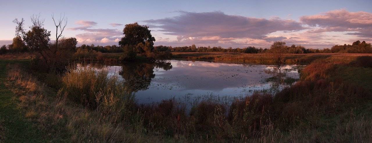 , Николай Шахманцир