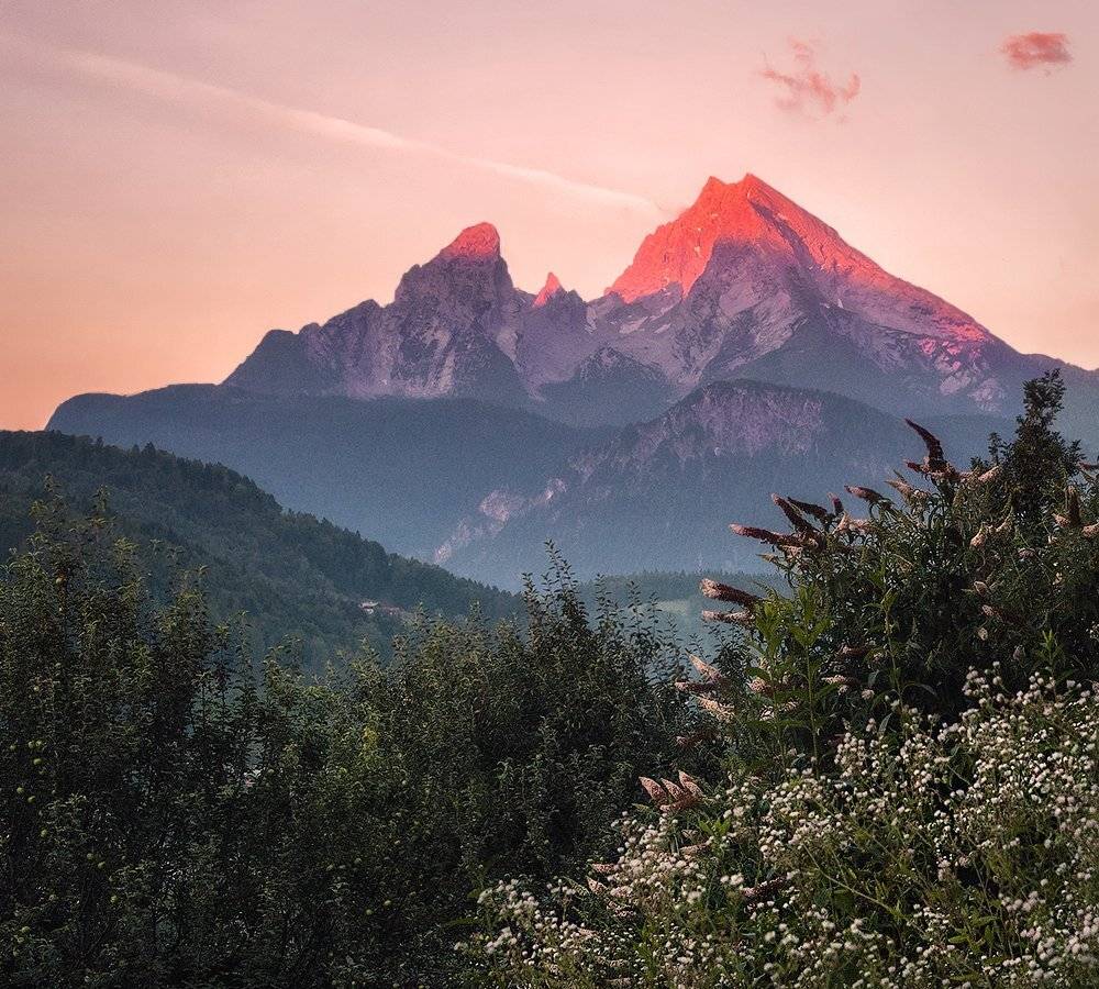 , Игорь Мелекесцев