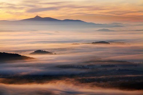 Misty Morning
