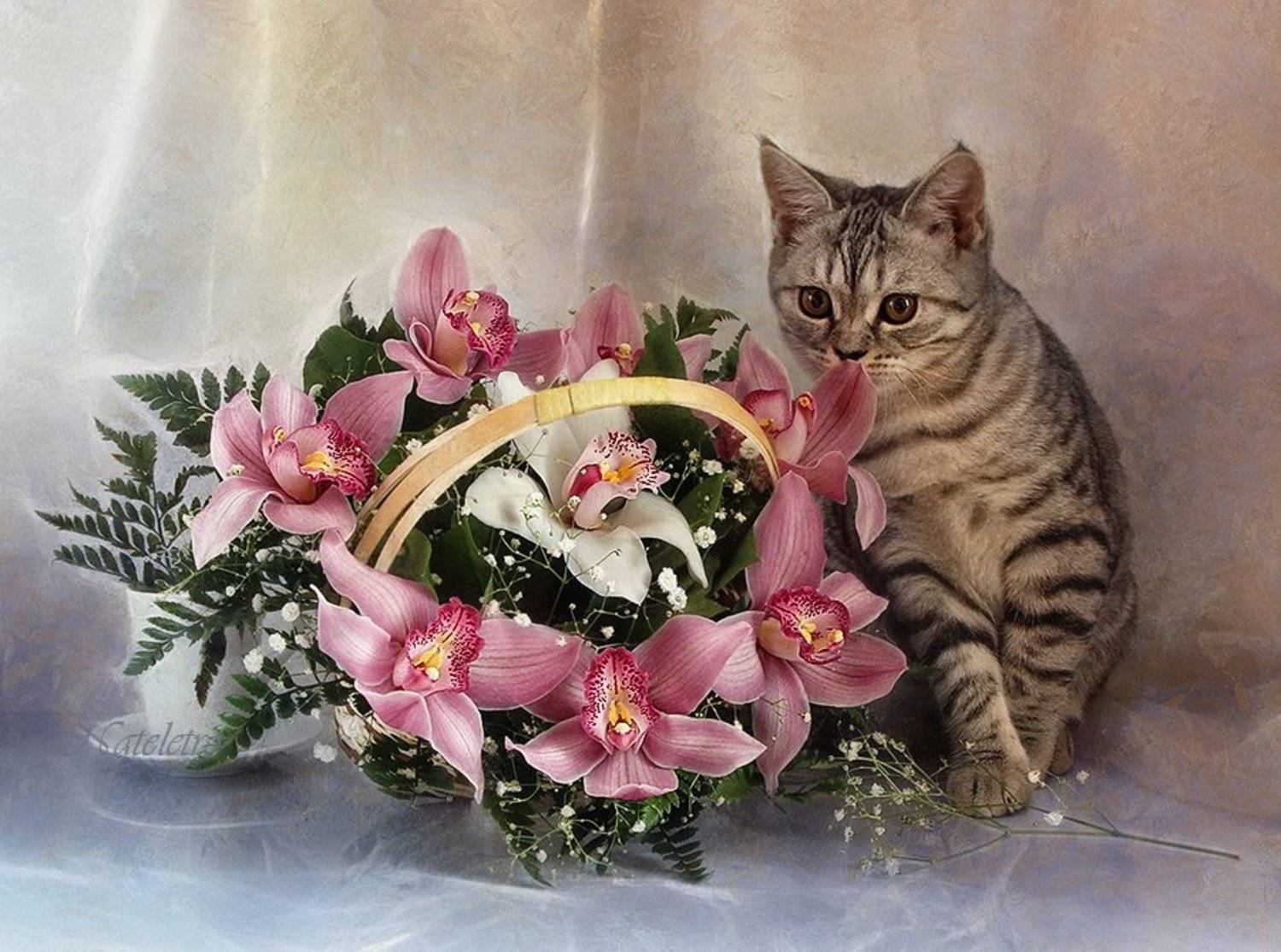 , Наталья Кузнецова (Nateletro)