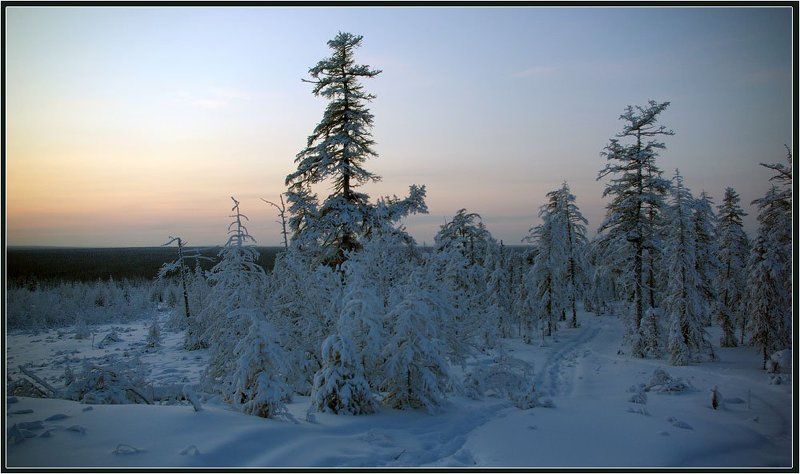 Тропинка фото превью