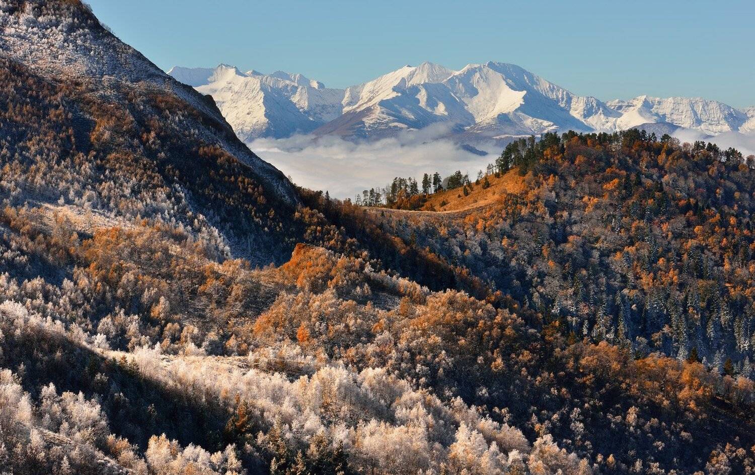 , Максим Евдокимов