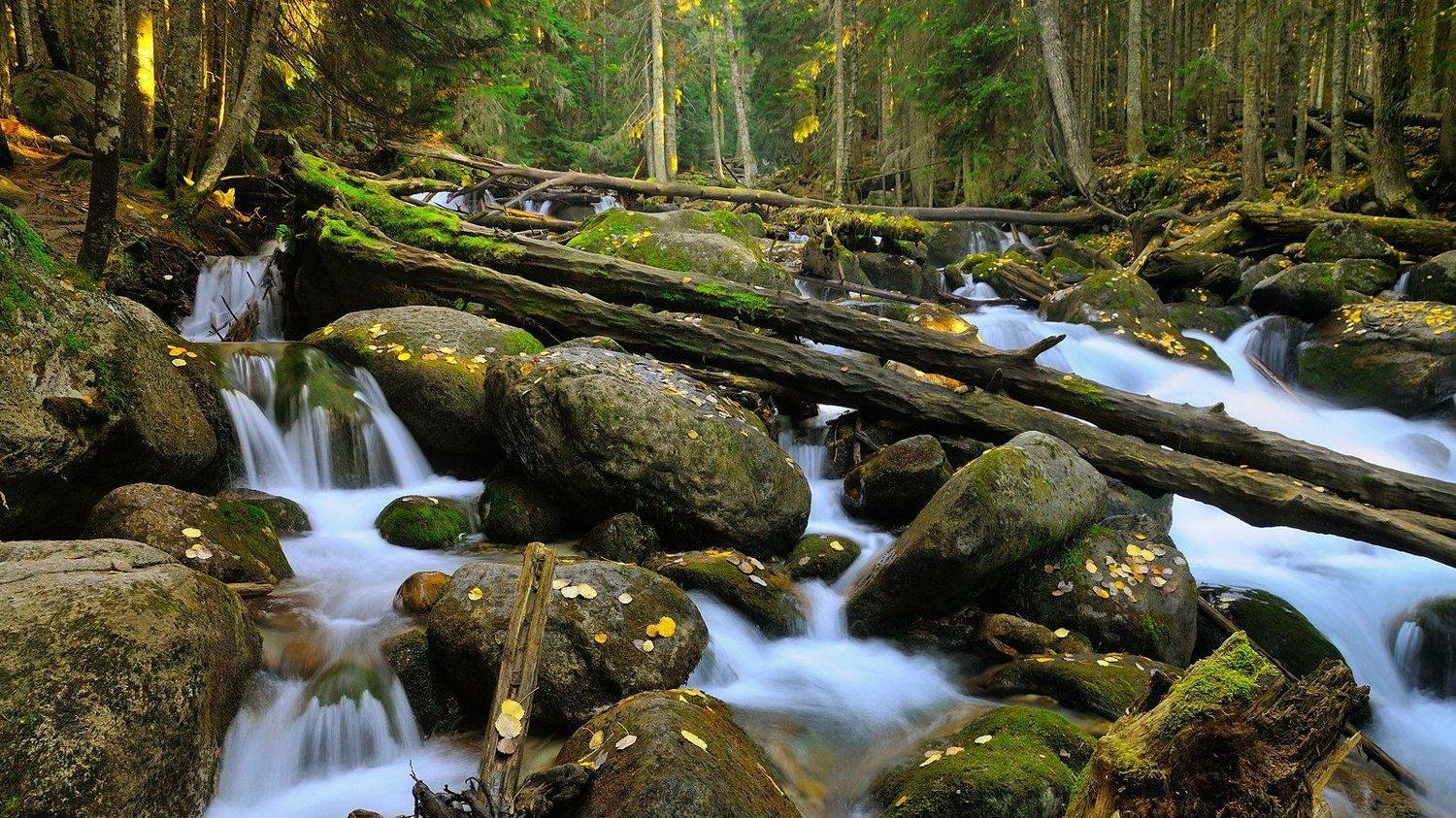 река, камни, горы, лес, осень, завал, деревья, Serj Master