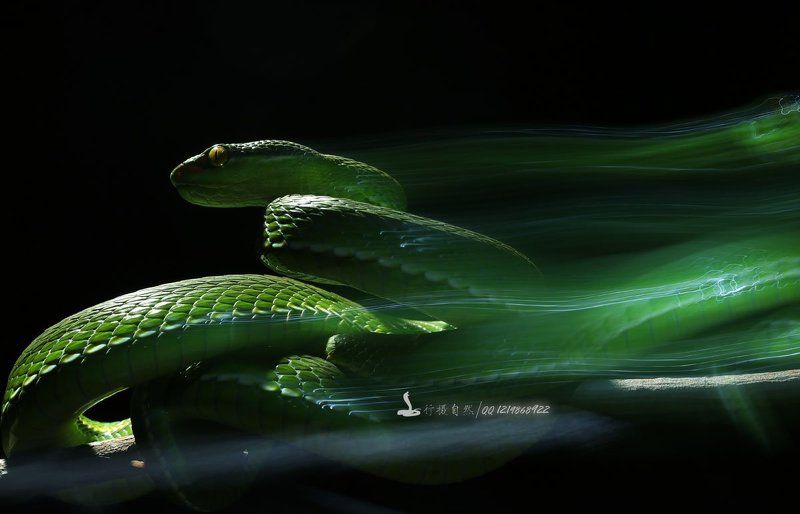 Ночь убийца фото превью