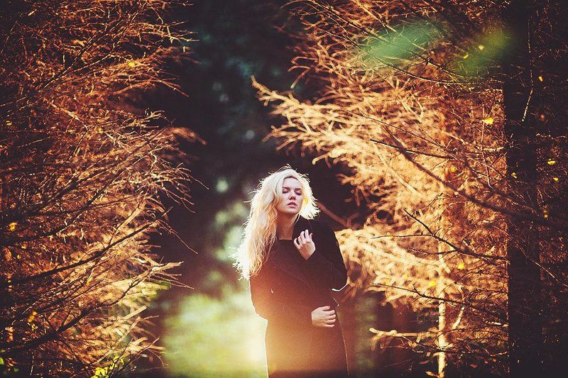 Vervolg фото превью