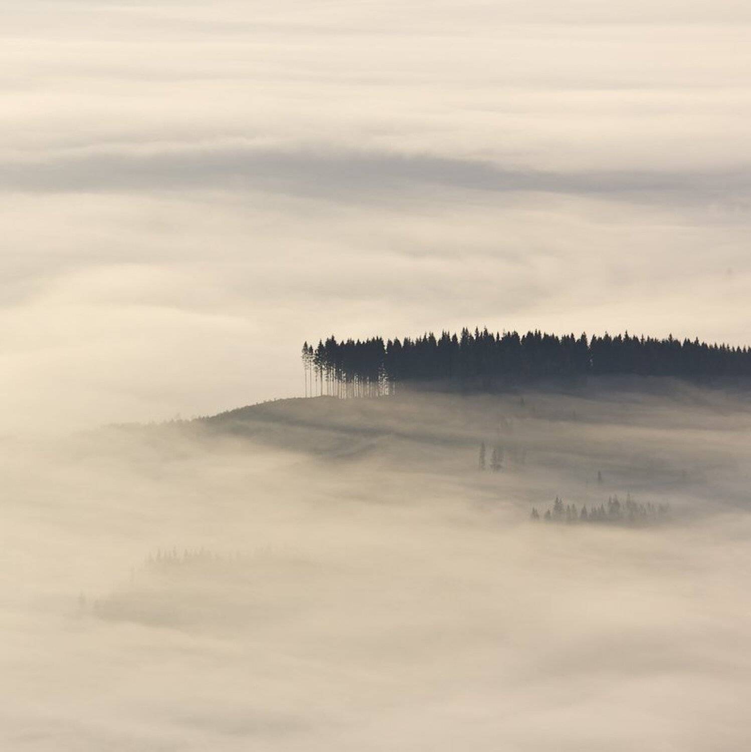 , Александр Подрез