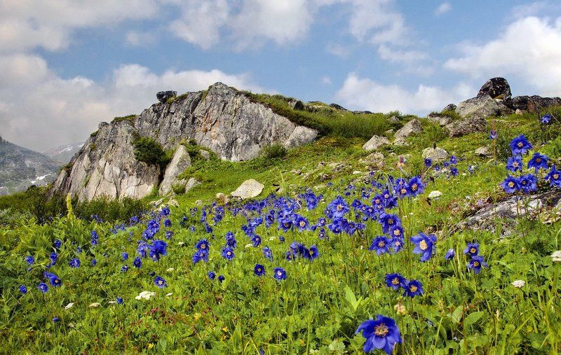 фото превью