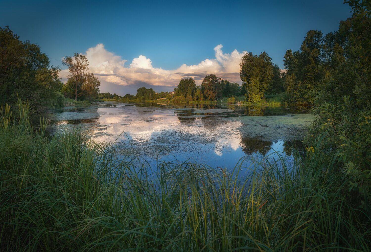 , Константин Дэм