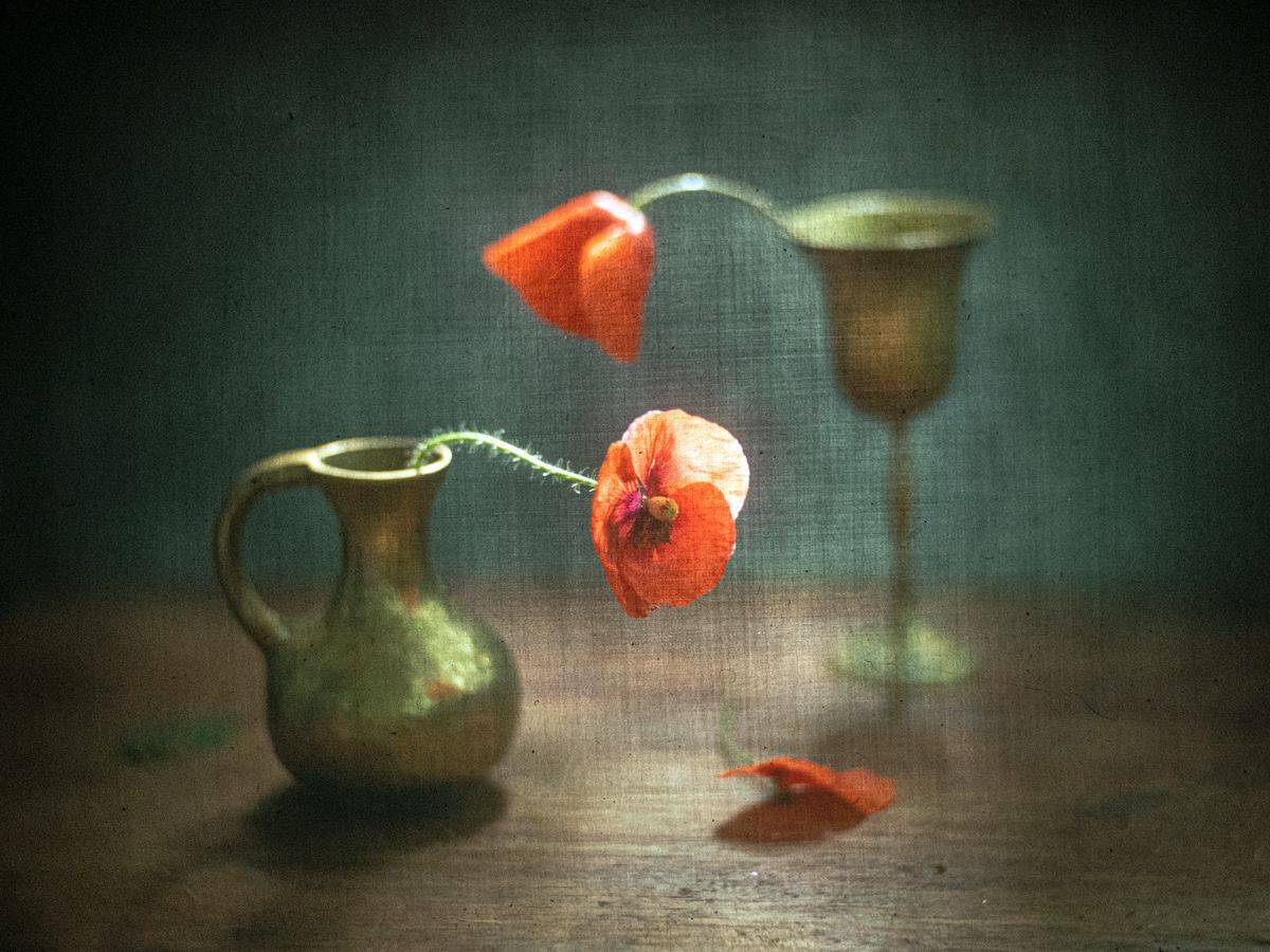 #haruhisa, Татьяна Аверина