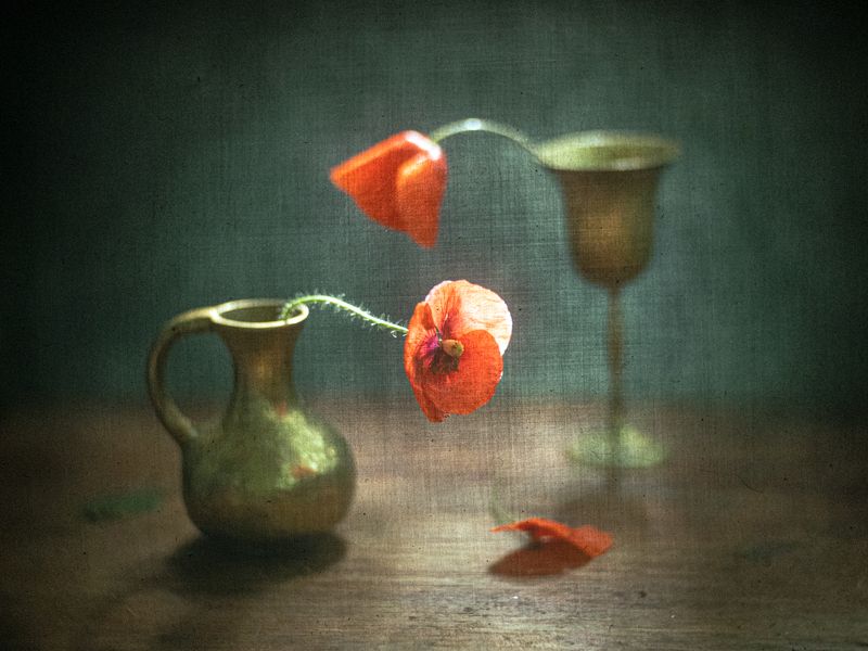 *** фото превью