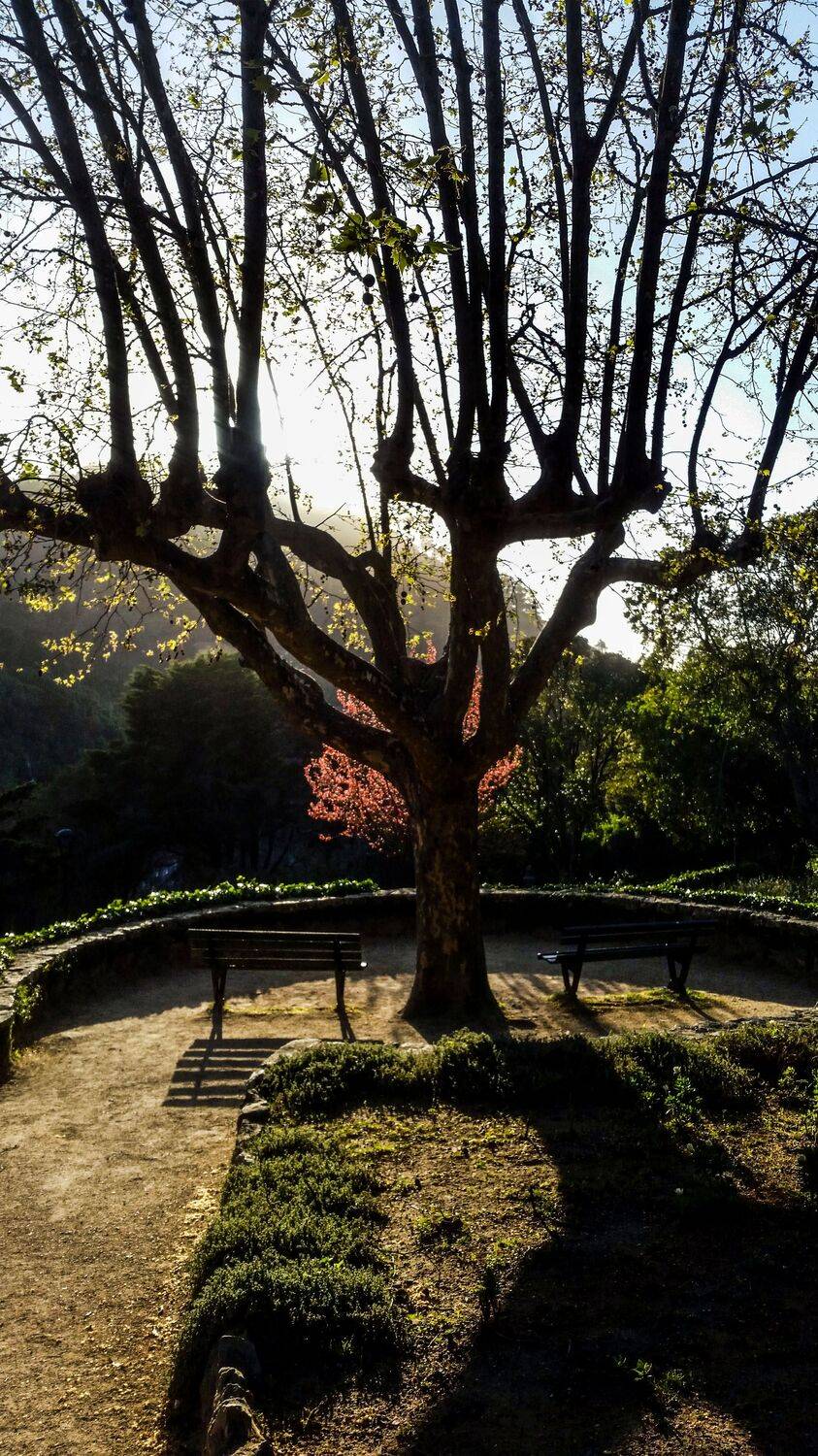 Landscapes, City, Nature, Carlos Machado