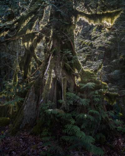 ЖИЗНЬ ПОСЛЕ ЖИЗНИ