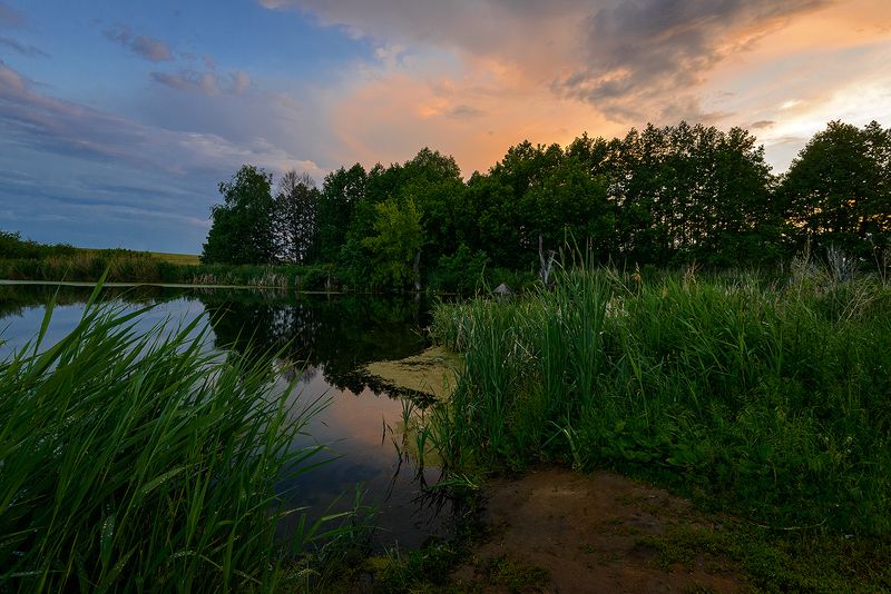 лето, пруд, вечер Закат... фото превью