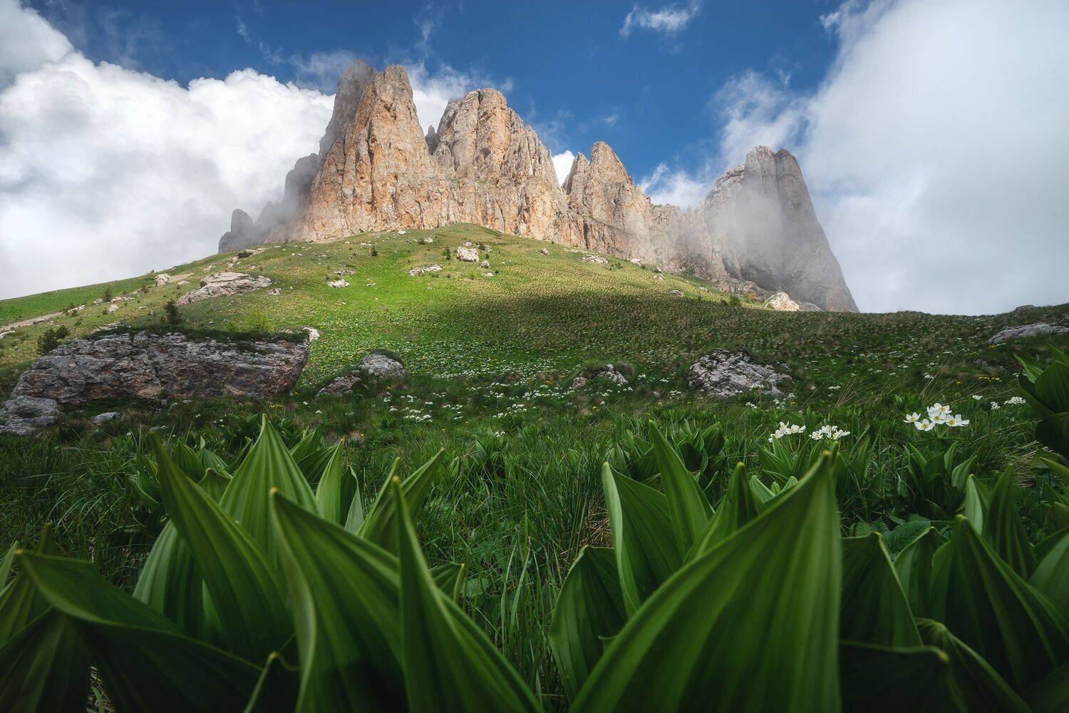 , Алексей Козаченко