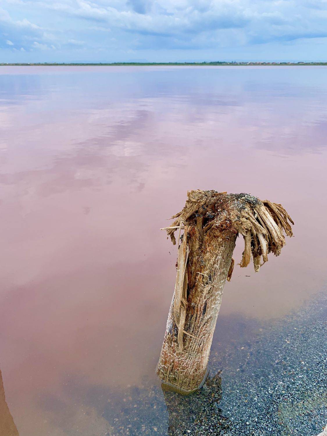 сасык-сиваш, Александр Аседач