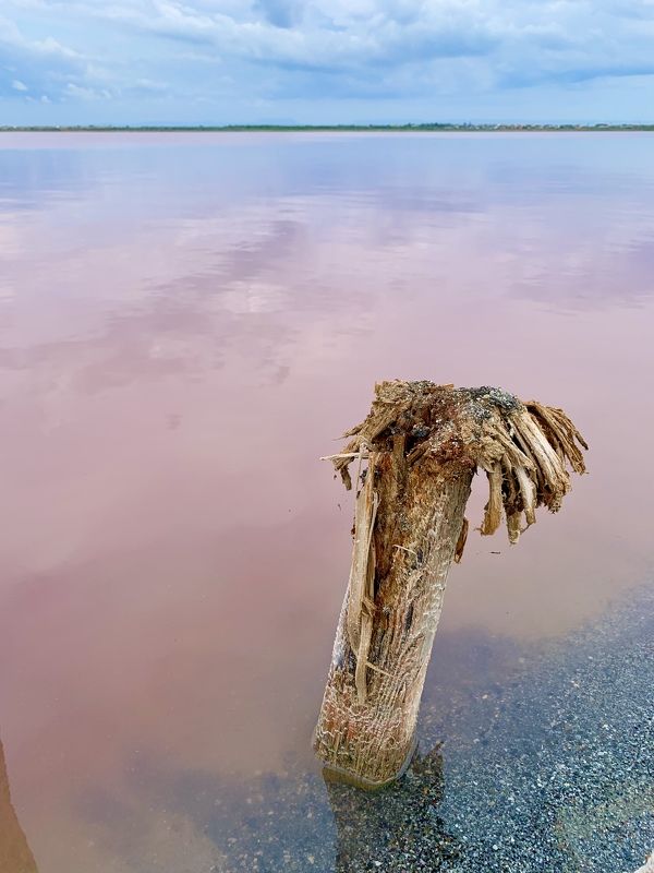 сасык-сиваш Соленое и розовое фото превью