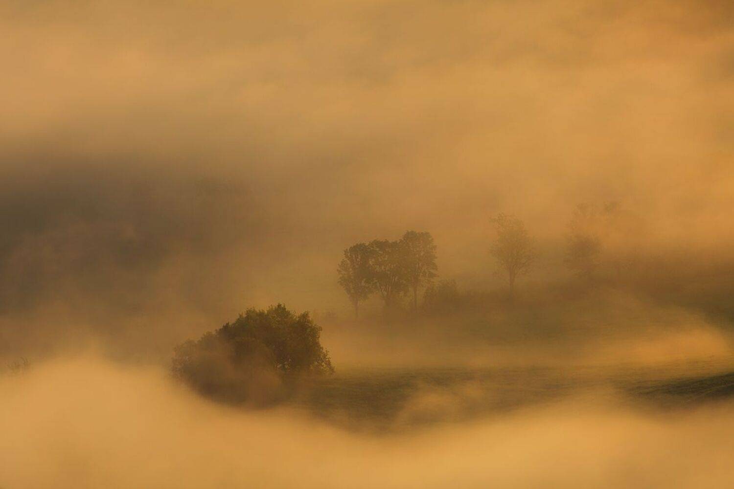landscape,autumn,canon,mountains, Iza i Darek Mitręga