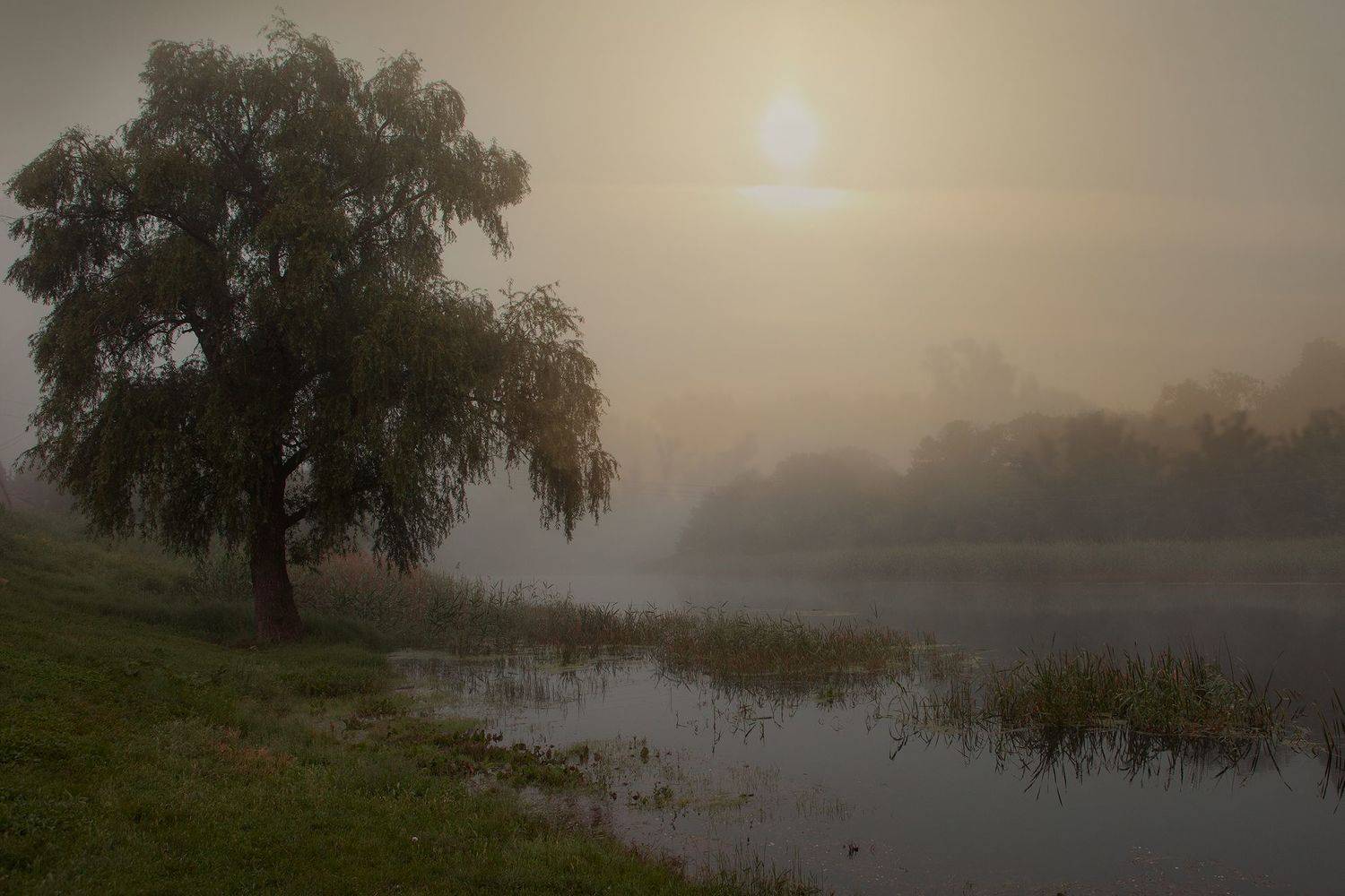 , Валерий Черняк