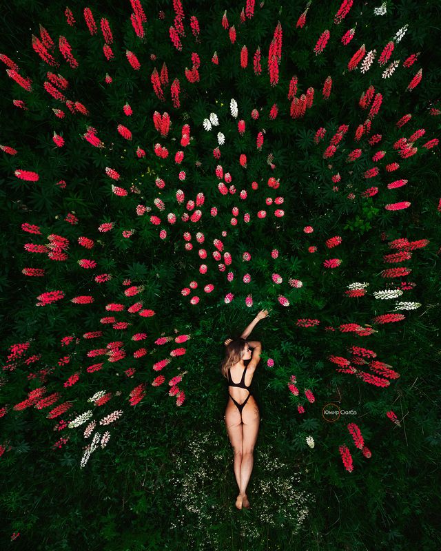 девушка, юмирскиба, гламур, ню, фото, портрет, арт, nu, nude, art, dji. djimimi2 summer color фото превью