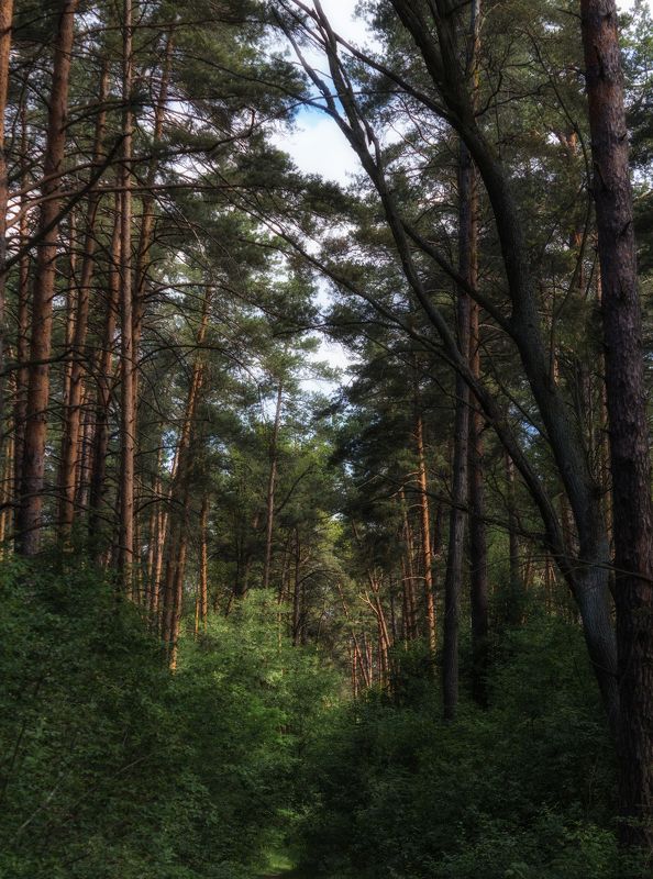 ** фото превью