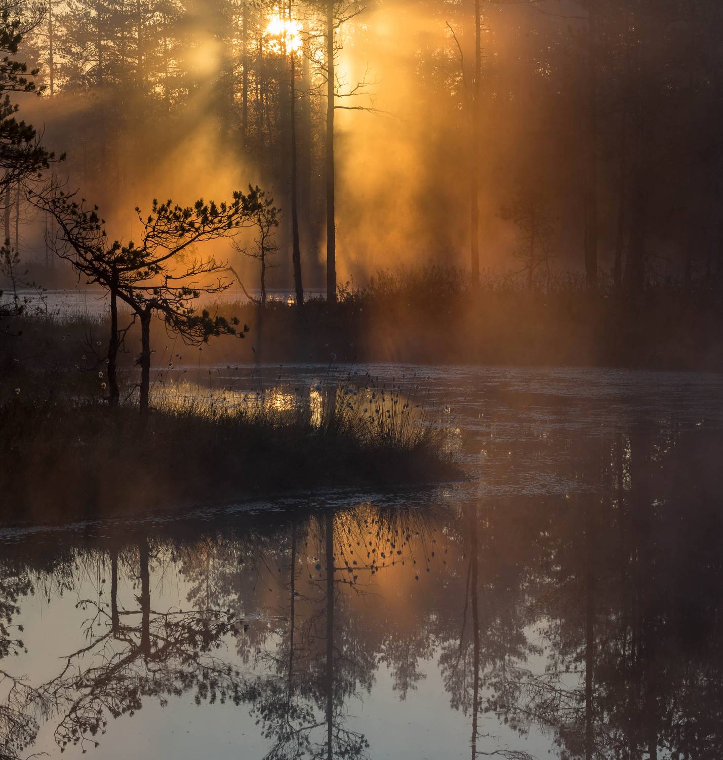 болото, кайф, рассвет ,север ,солнце, свет, закат, облака, отражение, фототур, Павел Ващенков