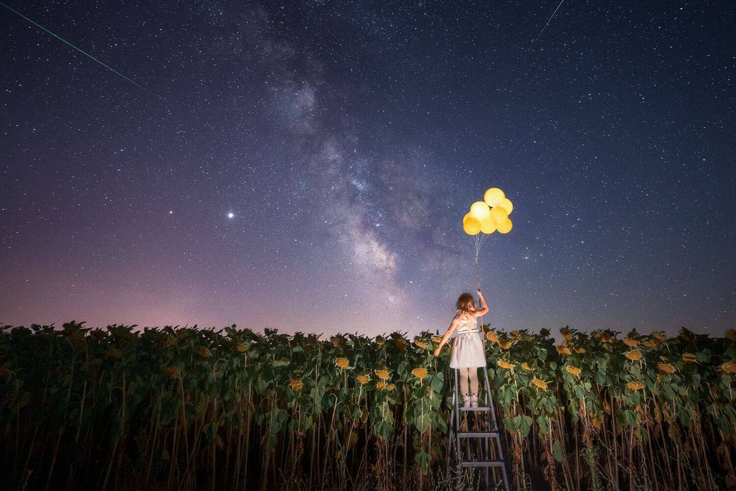 , Михаил Минков