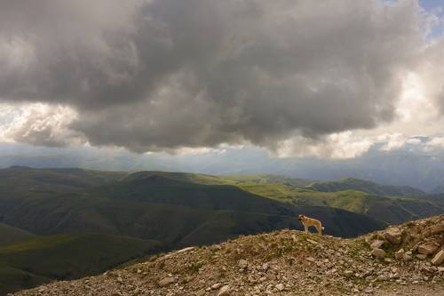 Тучи в горах