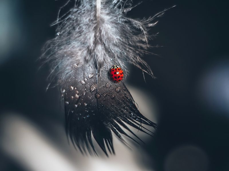 Держаться изо всех сил фото превью